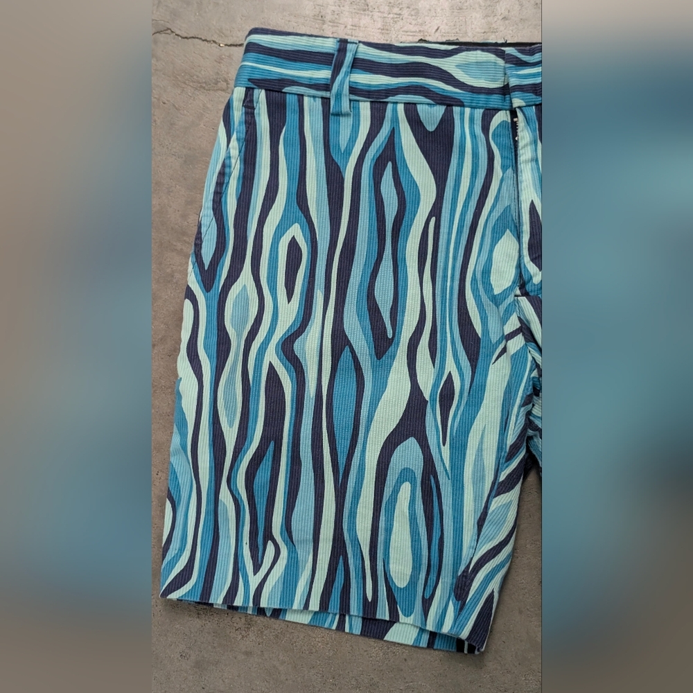 Mr. Turk Curdoroy Shorts, Size 30 - Picture 4 of 13